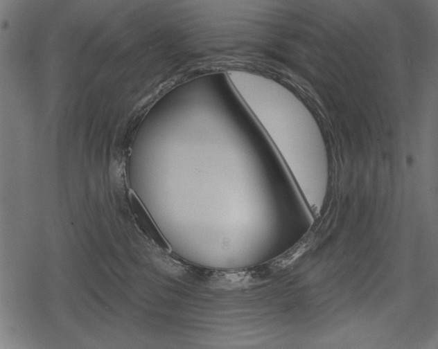 X0000078290329200611030958