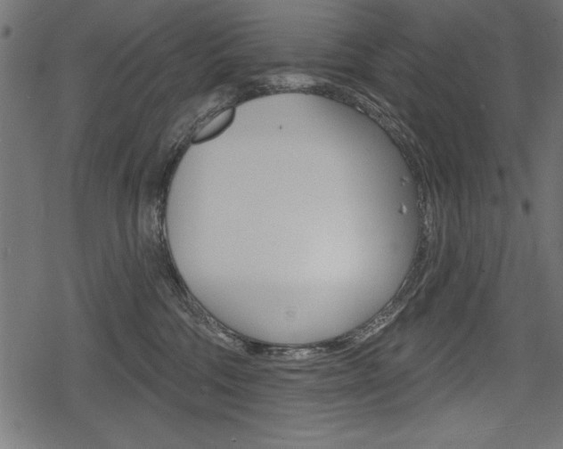 X0000078290330200611030958