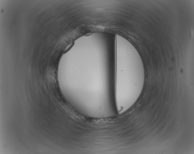 X0000078290331200611030958