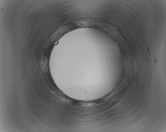 X0000078290332200611030958