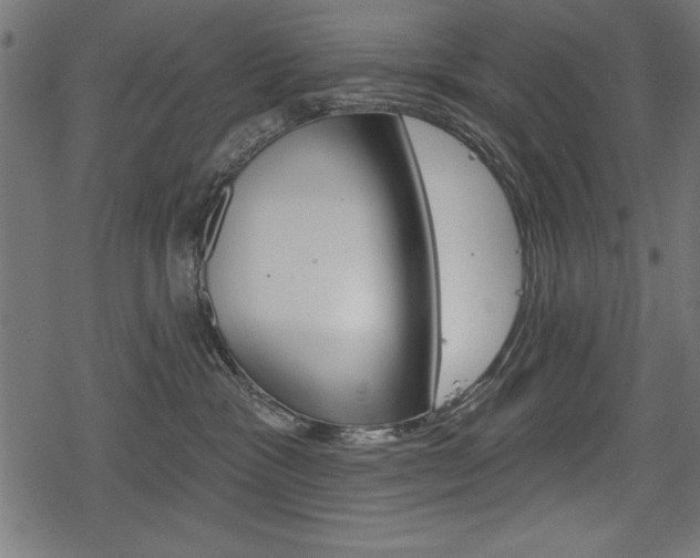 X0000078290333200611030958