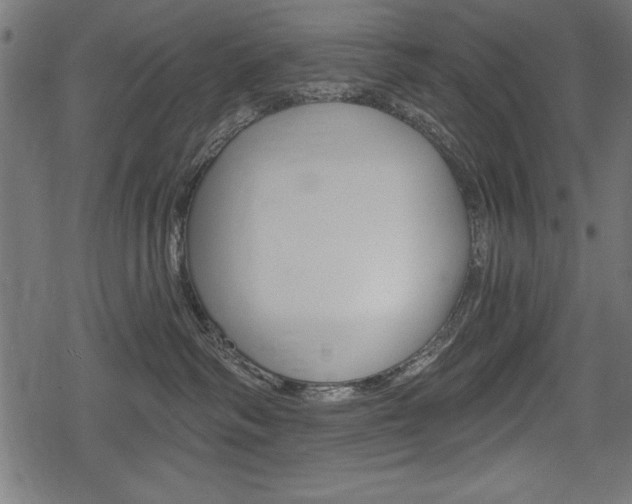 X0000078290334200611030958