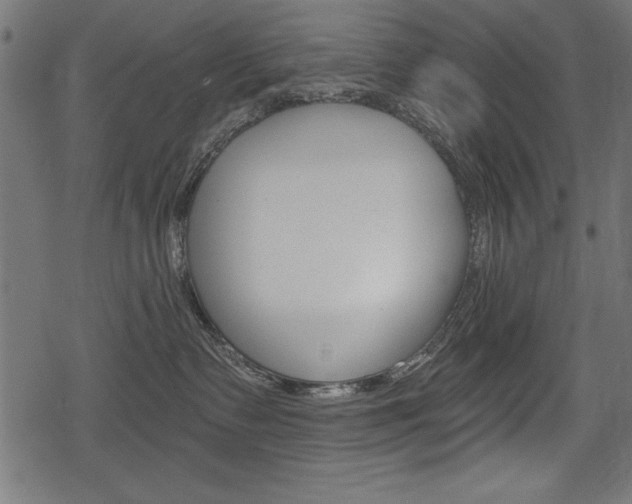 X0000078290335200611030958