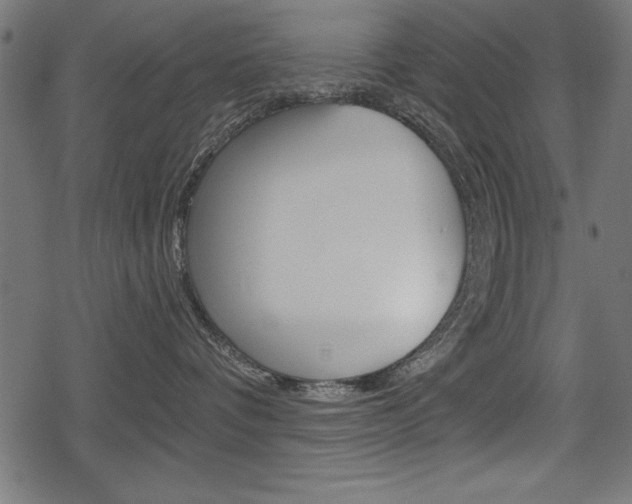 X0000078290336200611030958