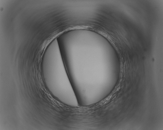 X0000078290337200611030957