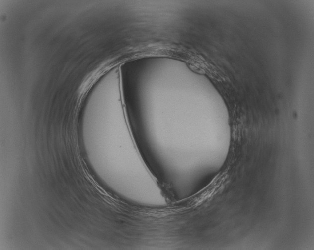 X0000078290341200611030957