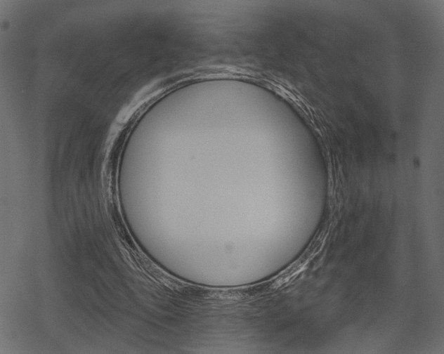 X0000078290343200611030957