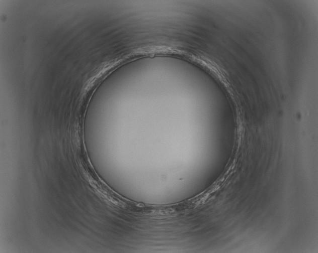 X0000078290345200611030957