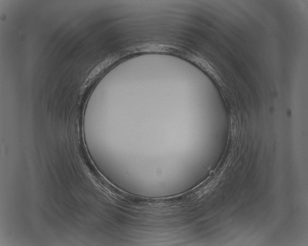 X0000078290349200611030958