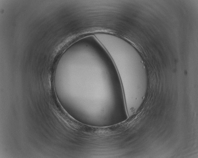 X0000078290350200611030958