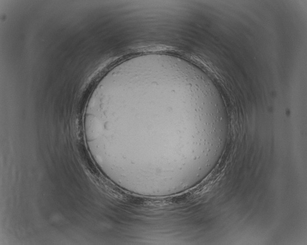 X0000078290351200611030958