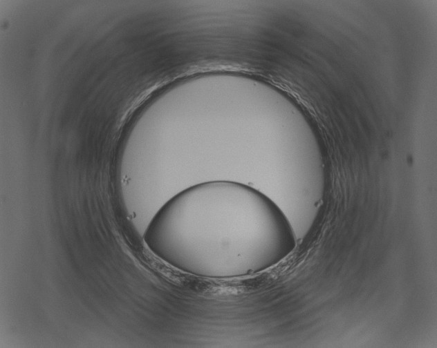 X0000078290352200611030958