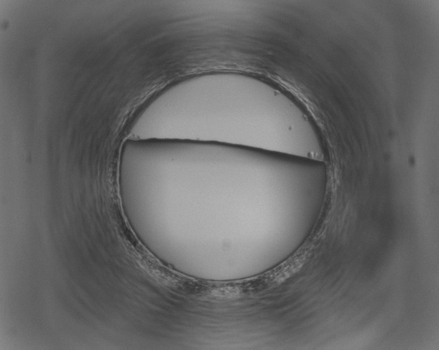 X0000078290353200611030958