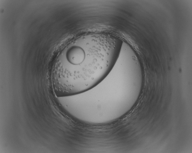 X0000078290354200611030958