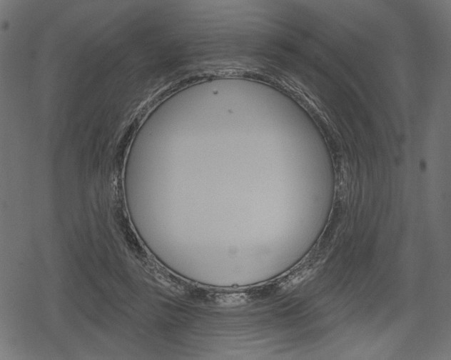 X0000078290355200611030958