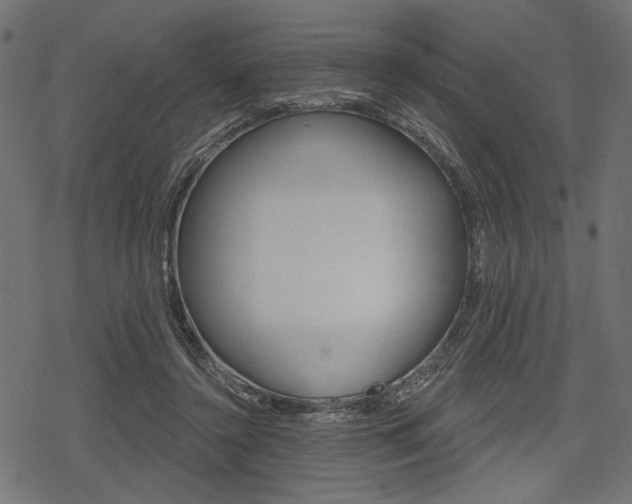 X0000078290356200611030958