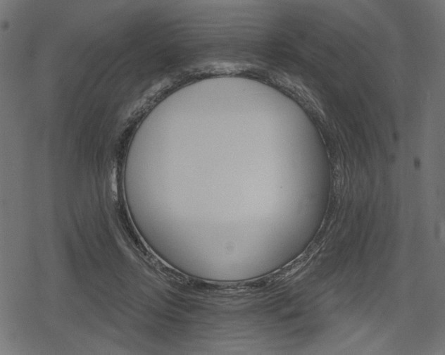 X0000078290358200611030958