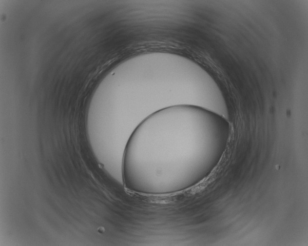 X0000078290360200611030958