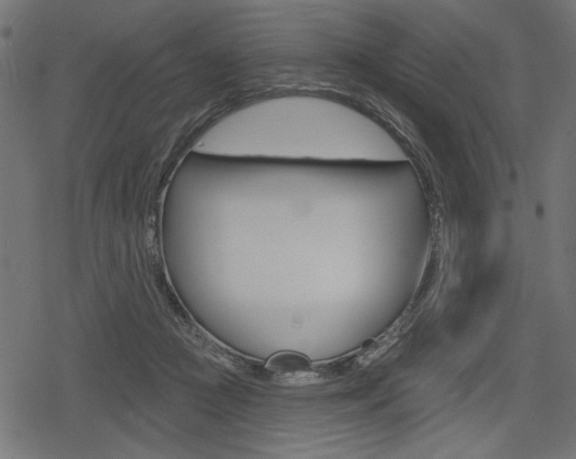 X0000078290361200611030958