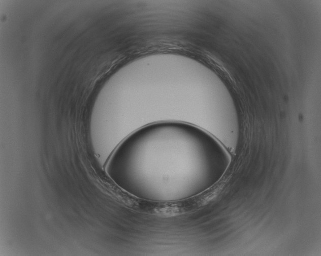 X0000078290362200611030958