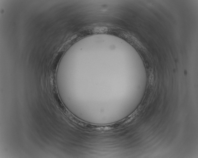 X0000078290363200611030958