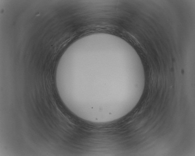 X0000078290364200611030958