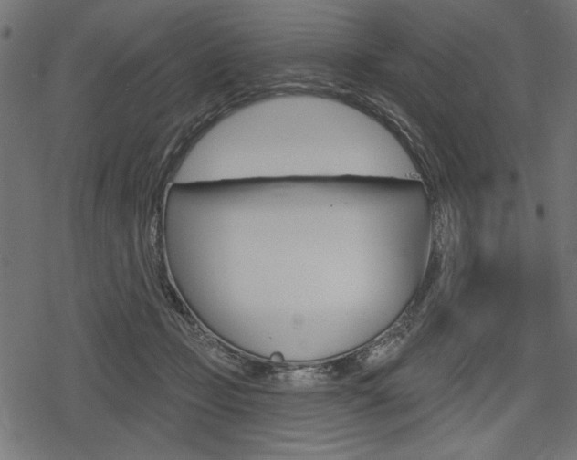 X0000078290365200611030958