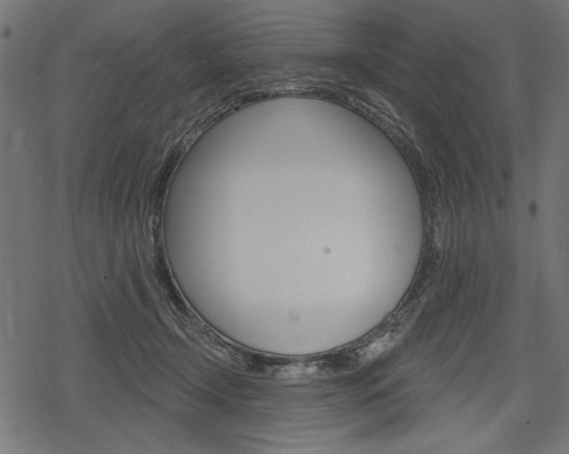 X0000078290366200611030958