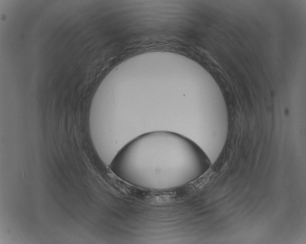 X0000078290368200611030958