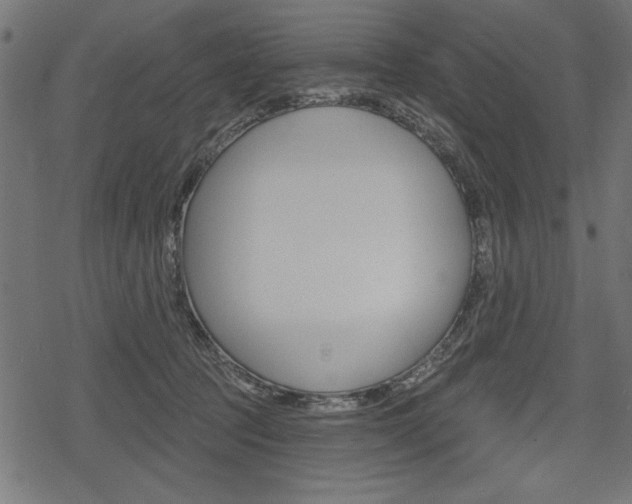 X0000078290369200611030958