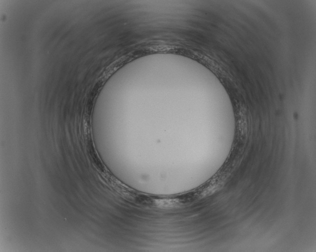 X0000078290371200611030958