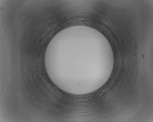 X0000078290372200611030958