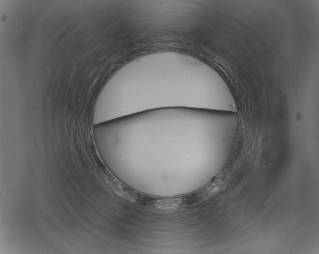 X0000078290373200611030958