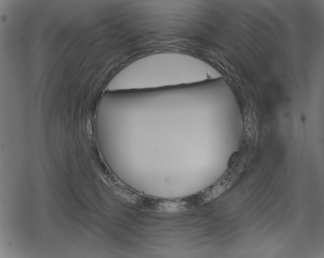 X0000078290375200611030958