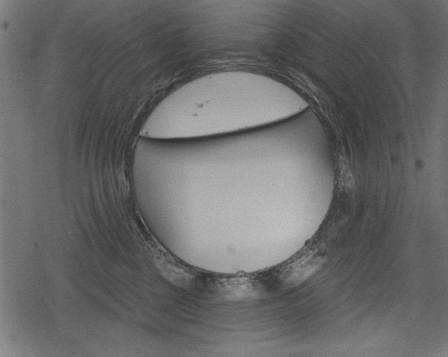 X0000078290377200611030958