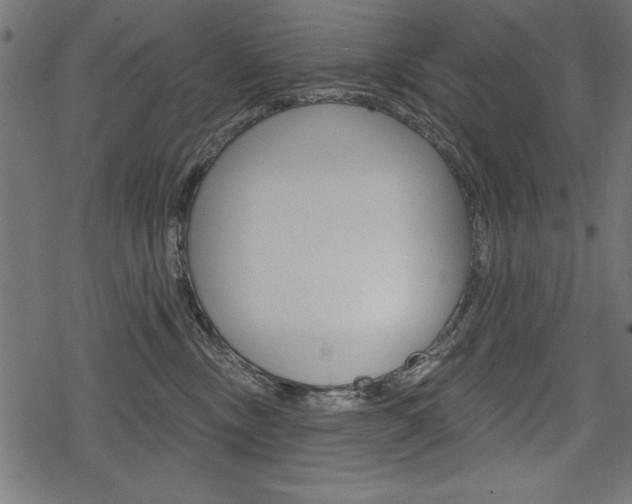 X0000078290378200611030958