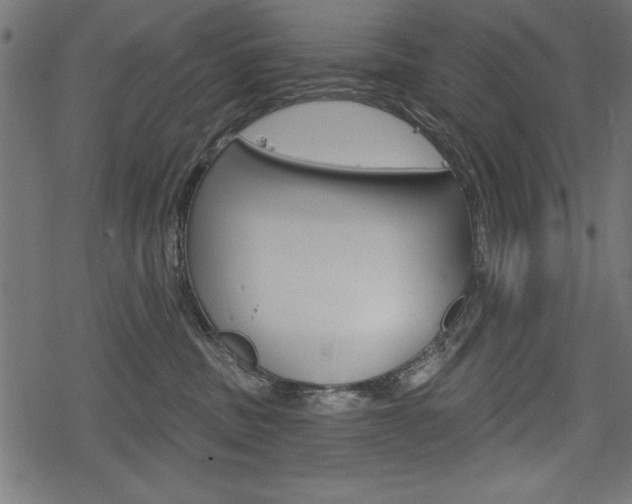 X0000078290379200611030958