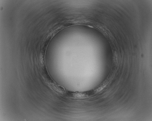 X0000078290380200611030958