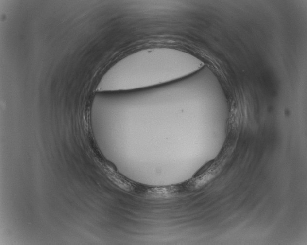 X0000078290381200611030958