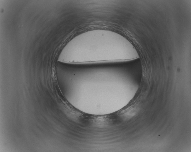 X0000078290382200611030958