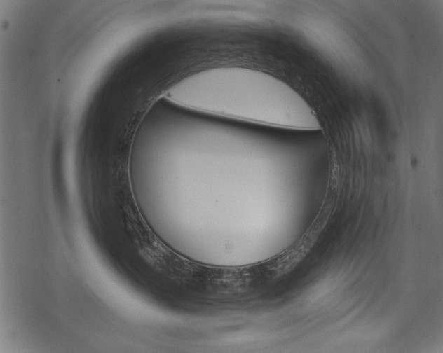 X0000078290383200611030958