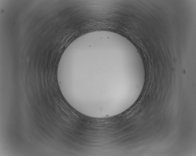 X0000078290384200611030958