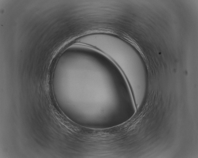 X0000078290387200611030957