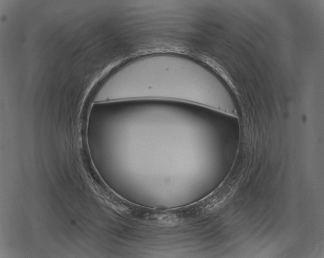 X0000078290395200611030957