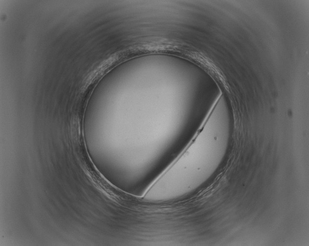 X0000078290397200611030957