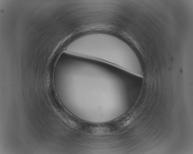 X0000078290400200611030957