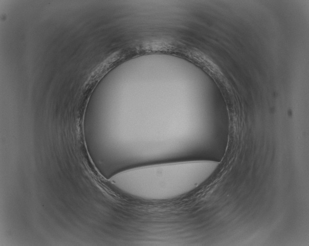 X0000078290401200611030957