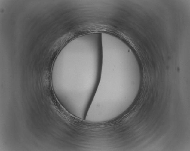 X0000078290402200611030957