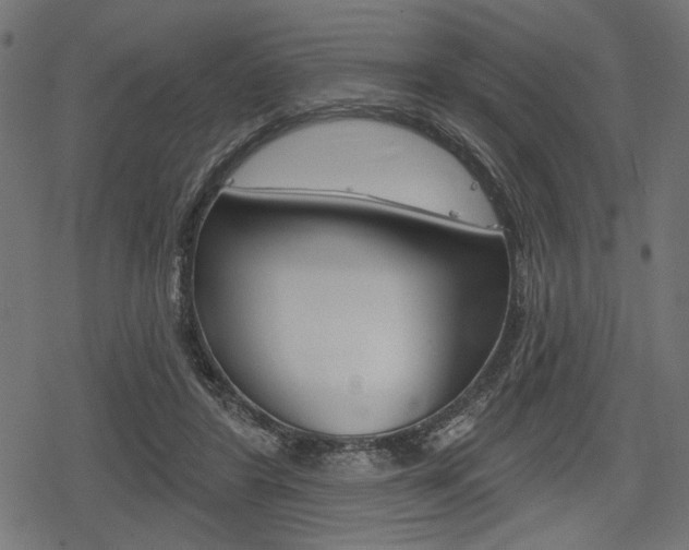 X0000078290404200611030957