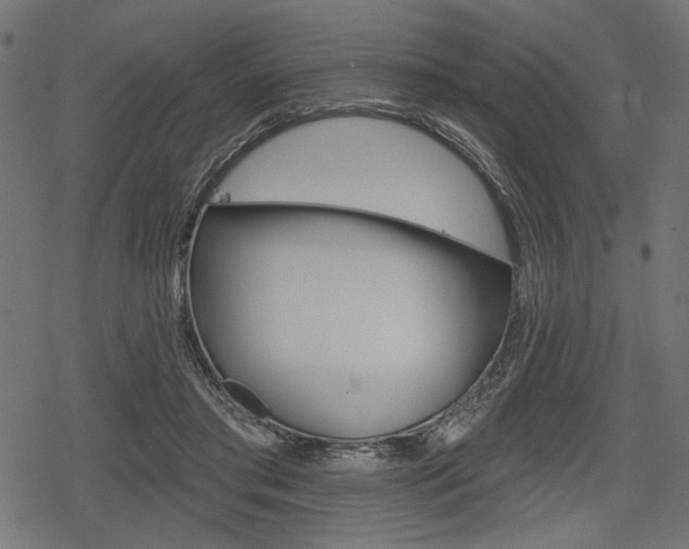 X0000078290405200611030957